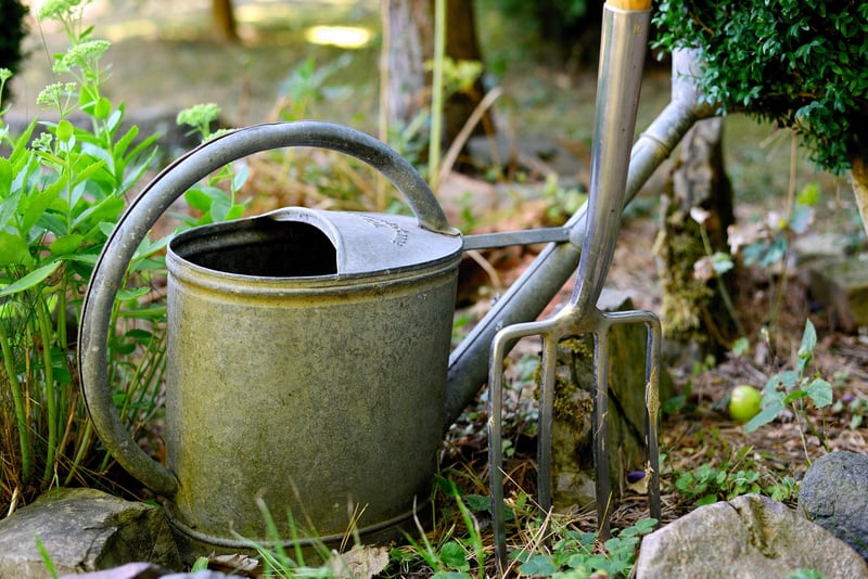 Crystal Watering Cans